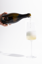 Cargar imagen en el visor de la galería, TOFF Prosecco Extra Dry - DOC Veneto Italia 🇮🇹
